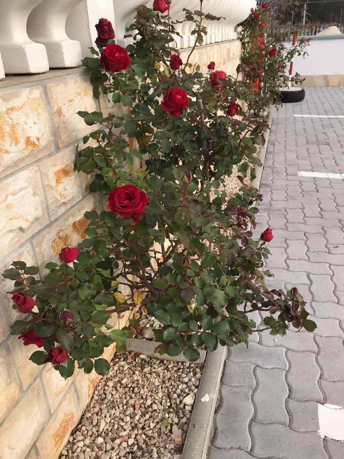 شقة Santoni فير المظهر الخارجي الصورة